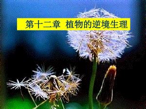 耐澇植物|植物的逆境生理 (四) 其他抗性─抗澇性 (淹水) 